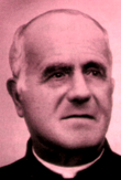 Olinto Fedi